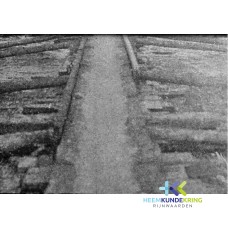 1917 ijs F00001587